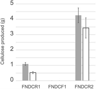 Comparative Genome Analysis of Three Komagataeibacter Strains Used for Practical Production of Nata-de-Coco